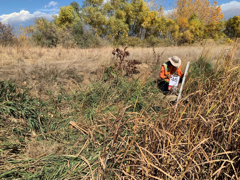 Site Photo 46